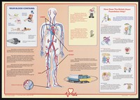 view Your blood contains / Designed by David Blann ; illustrated by Ivana T. Cooke.