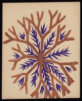 view An outgrowth with alternating brown branches and purple spikes. Watercolour by M. Bishop, 1968.