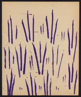 view Purple uprights with red blotches. Watercolour by M. Bishop, 1967.