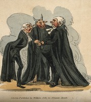 view A physician, a lawyer and a vicar; represented as outlandish figures. Coloured etching.