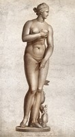 view Venus [Aphrodite]. Sanguine stipple engraving.