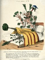 view A man in bed with vegetables sprouting from all parts of his body; as a result of taking an overdose of James Morison's vegetable pills. Coloured lithograph by C.J. Grant, 1831.