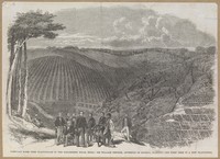 view Sir W. Denison and others planting the first quinine tree in the Neilgherry hills, India. Wood engraving by M. Jackson, 1862.