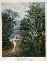 view Cupid inspiring plants with Love, in a tropical landscape. Coloured stipple engraving by T.Burke, ca. 1805, after P. Reinagle.