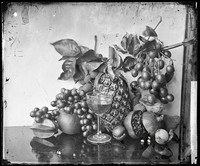 view Still life of fruit, Hong Kong. Photograph by John Thomson, 1868/1871.