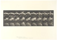 view A woman getting out of a bed: three sequences. Collotype after Eadweard Muybridge, 1887.