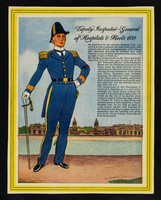 view Deputy Inspector-General of Hospitals & Fleets, 1879.