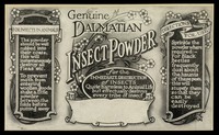 view Genuine Dalmatian insect powder for the destruction of insects : quite harmless to animal life but effectually destroys every tribe of insect.