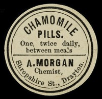 view Chamomile pills : once, twice daily, between meals / A. Morgan, chemist, Shropshire Street, Drayton.