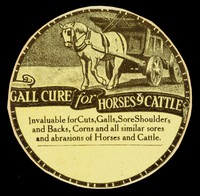 view Gall cure for horses & cattle : invaluable for cuts, galls, sore shoulders and backs, corns and all similar sores and abrasions of horses and cattle.