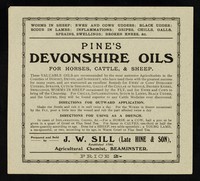 view Pine's Devonshire oils for horses, cattle, & sheep ... / prepared and sold by J. W. Sill (late Hine & Son), established 1790, agricultural chemist, Beaminster.