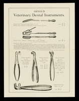 view Arnold veterinary dental instruments / Arnold & Sons.