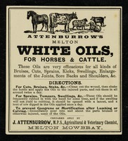 view Attenburrow's Melton White Oils : for horses & cattle / prepared only by J. Attenburrow.