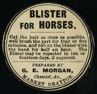 view Blister for horses... / prepared by G.E. Morgan.