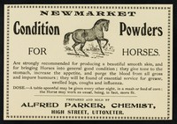 view Newmarket condition powders for horses / prepared and sold by Alfred Parker.