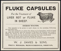 view Fluke capsules : for the treatment of liver rot or fluke in sheep : directions... / W.J. Davies & Sons.