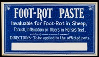 view Foot-rot paste : invaluable for foot-rot in sheep, thrush, inflammation or ulcers in horses feet : directions: to be applied to the affected parts.