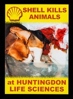 view Shell kills animals at Huntingdon Life Sciences / SHAC.