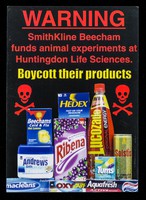 view Warning : SmithKline Beecham funds animal experiments at Huntingdon Life Sciences : boycott their products / SHAC.