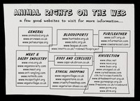 view Animal rights on the web : a few good websites to visit for more information...