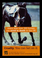 view Every year over 300 horses are raced to death in the UK : cruelty : you can bet on it / Animal Aid.