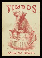 view Vimbos : an ox in a teacup.