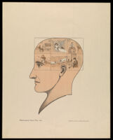 view A head divided in two, the left half describing activities numbered 1 to 42. Lithograph by Frank Ellis, 1901.