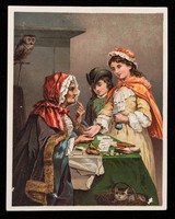 view The gipsy fortune-teller / [Dr. Jayne Company].