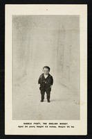 view Harold Pyott : the English midget ; aged 34 years, height 23 inches, weight 24 lbs.