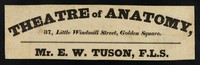 view Theatre of anatomy, 37, Little Windmill Street, Golden Square : [fragment] / Mr. E.W. Tuson, F.L.S.