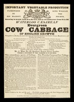 view Waterloo caesarean evergreen cabbage of English growth... / agent for the west end circulation, J. Moss.