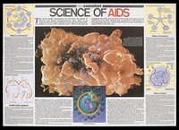 view A T-cell infected with HIV within a poster by the New Scientist describing the science of AIDS. Colour lithograph.