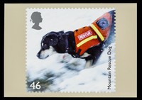 view Mountain rescue dog : 46 / Royal Mail Group Ltd. ; designed by Redpath.