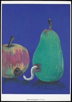 view A caterpillar bores a hole into the side of pear having just eaten a hole in an apple, an analogy to the voracious appetite and speed of growth of the HIV virus. Colour silk screen print after A. François, 1993.