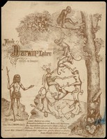 view Evolution of household articles, animals etc. according to Darwin's doctrine. Colour lithographs by Fr. Schmidt, ca. 187-(?).