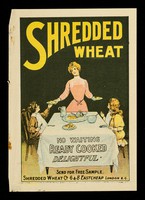 view Shredded Wheat : no waiting, ready cooked, delightful : send for free sample / Shredded Wheat Co.