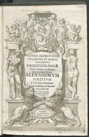 view Ulyssis Aldrovandi philosophi et medii Bononiensis ornithologiae tomus tertius, ac postremus / ad eminentissimum principem Alexandrum Perettum, S.R.E. Card. Montaltum ; Vicecancellarium, & Bononiae legatum.