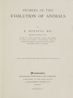 view Studies in the evolution of animals / by E. Bonavia.