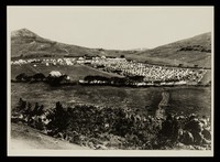 view Modern copies of nine photographs of Boer War Prisoners of War on St Helena Island