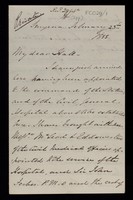 view Reports from Colonel Storks, commanding the Convalescent Station at Smyrna, later Brigadier General and Commandant of Scutari Hospitals