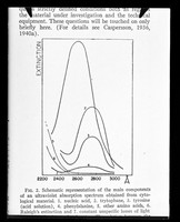 view Copy of a printed diagram of extinction curves in the ultraviolet absorption spectrum referenced as "Extinction curves"