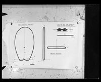 view Diagram referenced as "Diagram of head of ram sperm showing axes of symmetry"