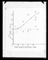 view Graph measuring "GMS DNA" and "Time Since Divisions-Hrs" [no reference].