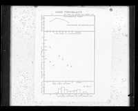 view Graph referenced as "Increase of DNA culture in chick fibroblasts"