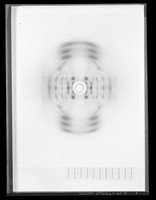 view X-ray diffraction exposure image referenced as "DNA fibres at 96% humidity. X ray-Vc. Cobalt, unfiltered. Fixed both ends"