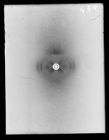 view X-ray diffraction exposure referenced as "DNA Thymus. Vertical sheet edge on 96% humidity"