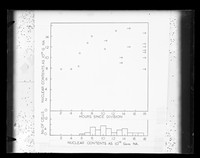 view Graph referenced as "[Change in the nuclear contents of] tetraploid culture"