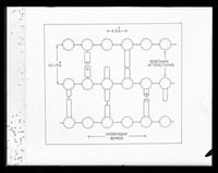 view Drawing of the layer structure model of collagen referenced as "Layer structure model. Collagen"