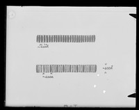 view Drawing of the structure of the umbilical cord referenced as "umbilical cord"