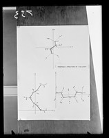 view Diagram referenced as "Proposed structure of collagen"